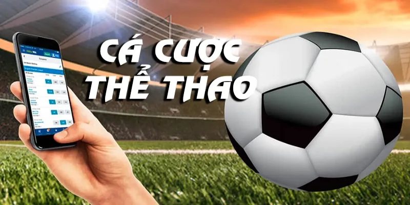Thể thao Tipclub mang đến môi trường hiện đại với bảng kèo chuẩn
