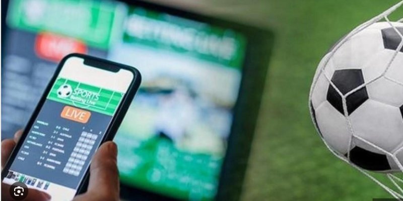 Nhiều bộ môn được cập nhật liên tục trên nền tảng